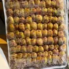 طيور دخل طازه