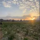 ارض زراعية بها بيت للبيع - حي النسيم - تنومه