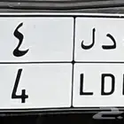 للبيع لوحه فردي
