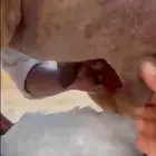 خلفه تحتها بكره