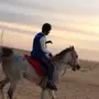 خَيل تحمل جزيري العمر تسعه سنوات 