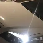 كبوت وكاله كابريس ابيض للبيع