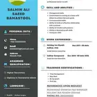 سيرة ذاتية احترافيه pdf