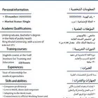 سيرة ذاتية انجليزي وعربي ومدمج