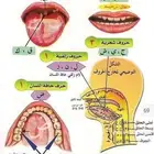 اخصائي تخاطب وتنمية مهارات وتعديل سلوك