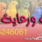 فندقة طيور وحيوانات بالرياض