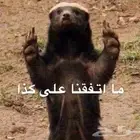 احتاج سياره مستعمله اقساط في الرياض