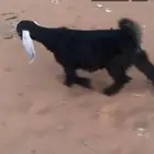 بيع
