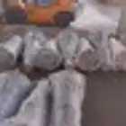 أمريكي تاهو 2019