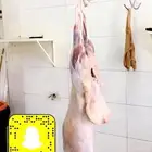 ذبايح مع خدمة الذبح والتوصيل