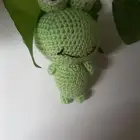 كورشيه ضفدع وبطه