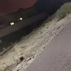 أرض للبيع الوسام