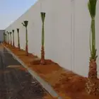 يوجد الدنيا جميع انواع النخيل المثمرة وزينه