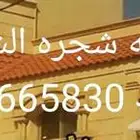 موسسه شجرة الشمال للقرميد