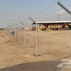 شبوك مزارع الرياض الجله تبراك القرنه شقراء