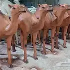 منتجات فابير جلاص