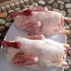 بط بكيني شحم ولحم حي ومذبوح
