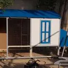 قن دجاج ( عشة دجاج )