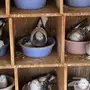 للبيع طيور اتراك منتجه ومتوالف