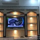 مشبات