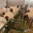 موقعنا الرياض تبوك الباحه جده مكه