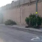 نخيل واشجارتقليع وترتيب