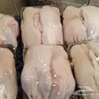 فراخه بط طيبه مقفله شحم مشاء الله شي طيب