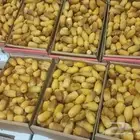 رطب الخرج غرة