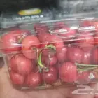 خضار وفواكه طازجه يوميا للمستشفيات