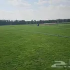 ثيل طبيعي