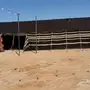 الحفلات والمخيمات اوربية 
