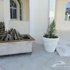 قهوجي وصبابين نجران