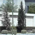 ابو محمد لتنسيق الحدائق