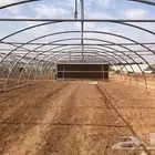 للبيع هياكل (حديد) بيوت محمية جديد