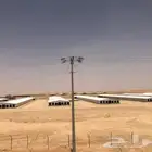 مقاول حظائر دواجن