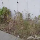 معلم زراعه وجميع انواع الزراعه