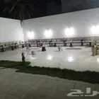 تأجير جلسات شعبيه