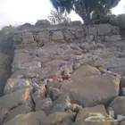 الحريضه