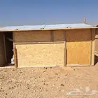 تجهيز مخيمات وبيوت شعر