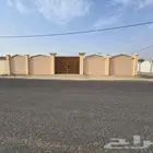 ملكان