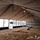 بيوت شعر أبيض جميع المقاسات تجهيز مخيمات