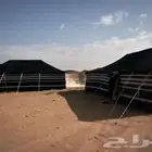بيوت شعر