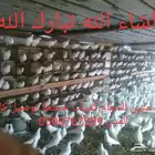 سطول تنك حمام كميات خرافية توصيل كل المدن