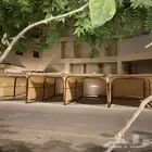 مظلات سياره