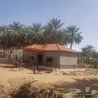 ساجر المزرعه في أول طريق القصيم