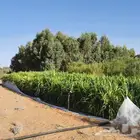 منتجع الرمال للصيد للايجار اليومي بام شيح