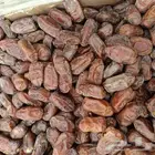 متوفر خضري طيب حبه جانبو 60طن