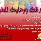 فندقة طيور المدينه المنوره