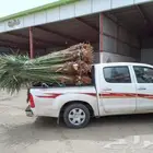 يوجد لدينا جميع انواع انخيل