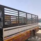 دينا للنقل مشاوير